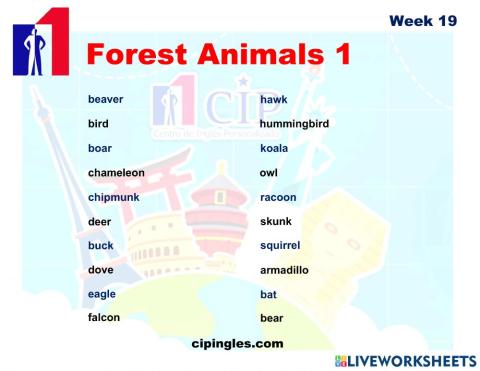 KIDS Vocabulary exam week 19