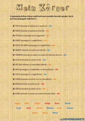 Die Körperteile
