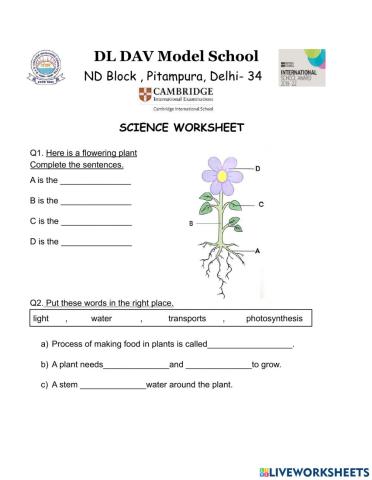 Science Worksheet
