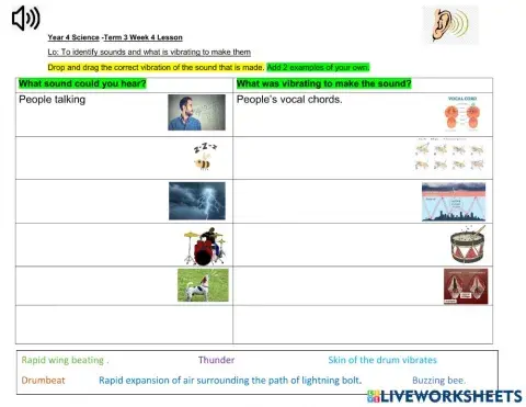 DIS Science Term 3 Week 4 lesson 1