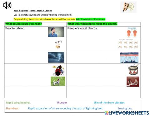 DIS Science Term 3 Week 4 lesson 1