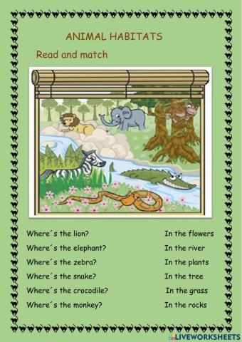 Jungle animals habitats