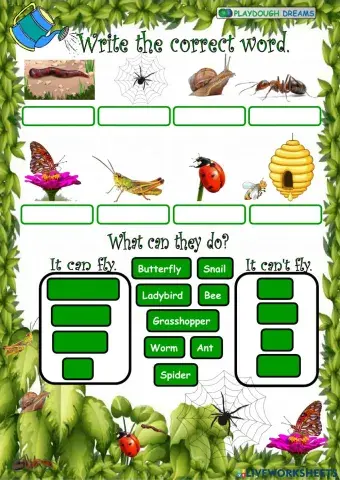 Minibeast 4 (Amazing Rooftops 4, Unit 6)