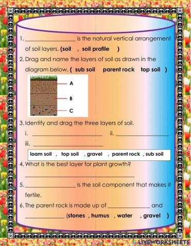 Soil profile