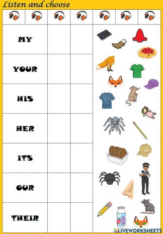 Possessive adjectives listening