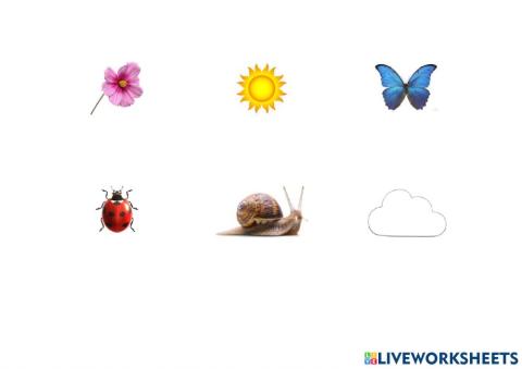 UDABERRIA: izenak idatzi