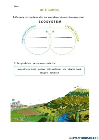 Unit 5: Ecosystems