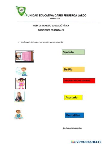 Posiciones Corporales básicas