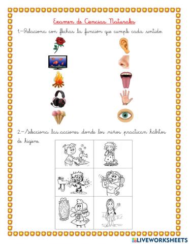 Eval. de Ciencias Naturales