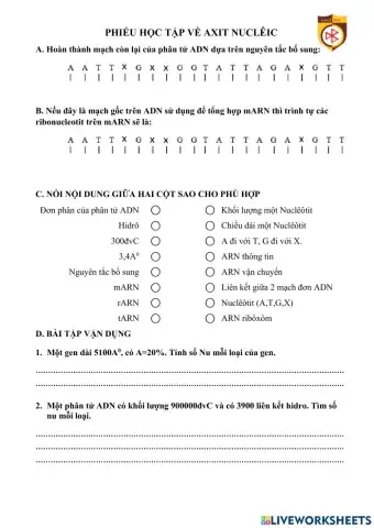 Phiên mã dịch mã