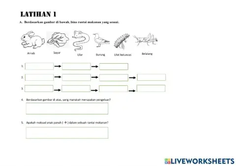 Latihan Rantai makanan