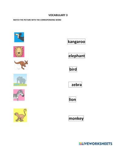 Vocabulary - wild animals