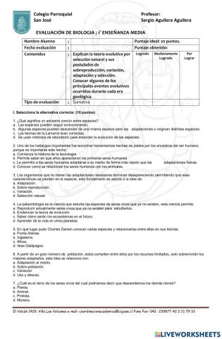 Evidencias de la evolucion