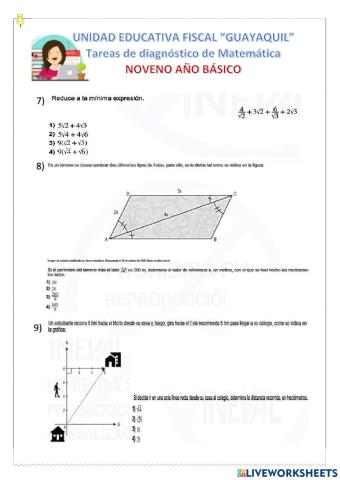 Teorema de pitagoras