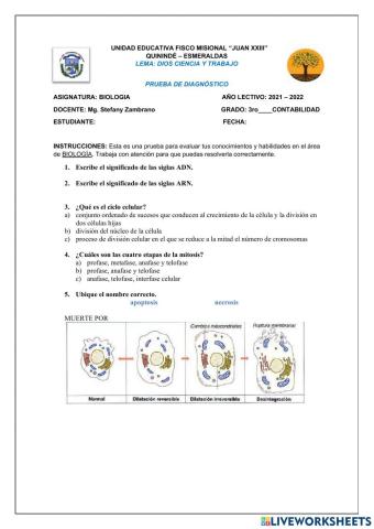 Prueba de diagnostico Biología 3ro