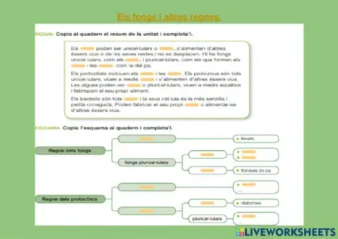 Els fongs i altres regnes.