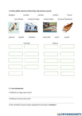 Ungari ja Poola muusika kokkuvõte