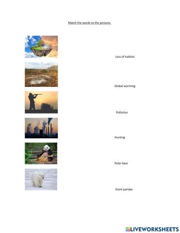 Match the words to the pictures