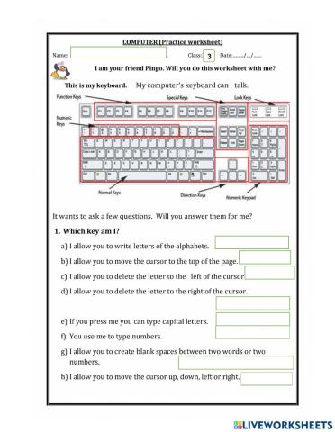 Types of keys on the keyboard