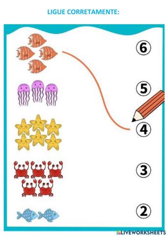 Ligar numeral e quantidade