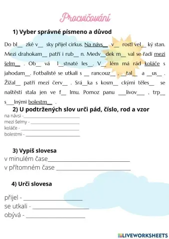 Procvičování čeština 4.třída