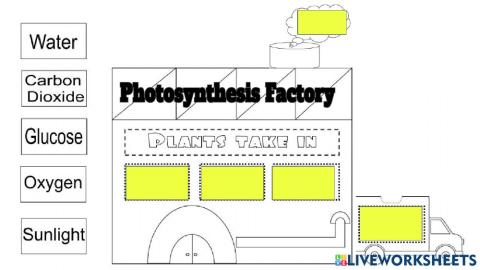 Photosynthesis Factory