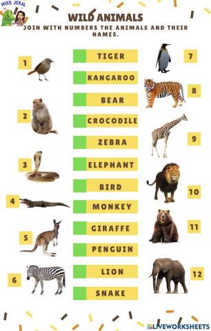 Wild animals and actions