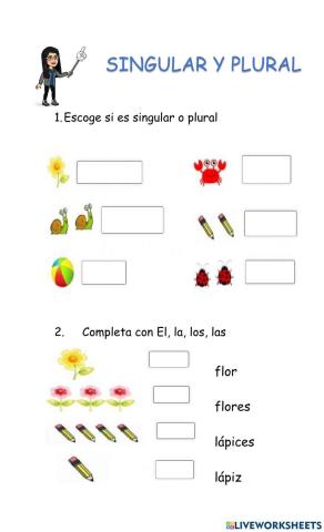 Singular y plural