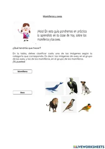 Clasificación mamíferos y aves