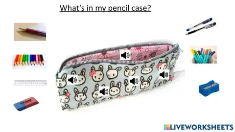 What's in my pencil case?