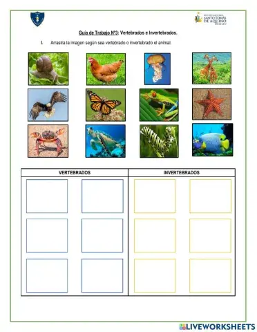 Vertebrados e Invertebrados