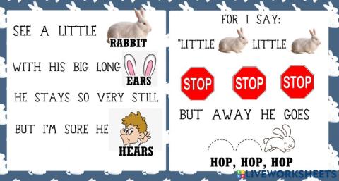Rabbit Rhyme