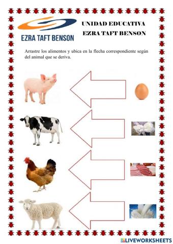 Los animales y sus derivados