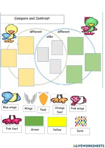 Comparing and contrasting birds