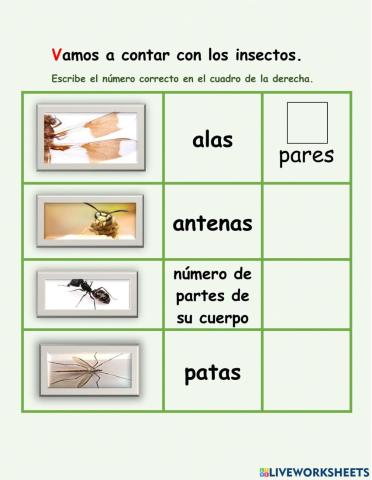 Vamos a contar con los insectos