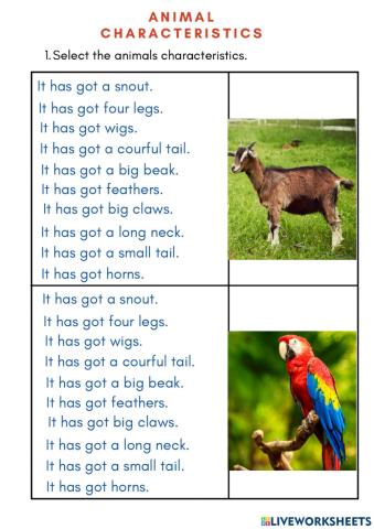 Characteristics of animals