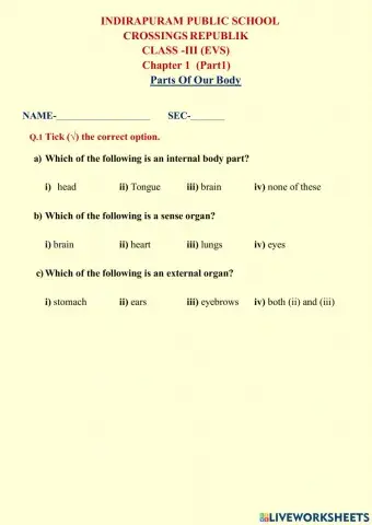 Body parts worksheet