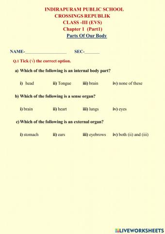 Body parts worksheet