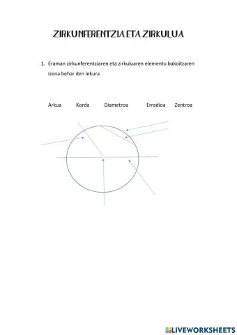 Zirkulua eta zirkunferentzia