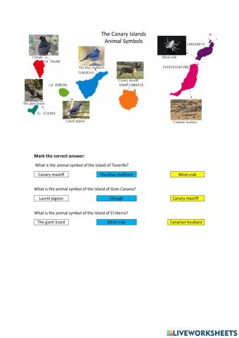 Canary Islands- Animal Symbols