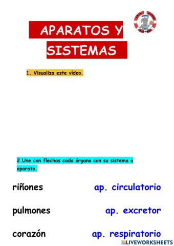 Aparatos y Sistemas