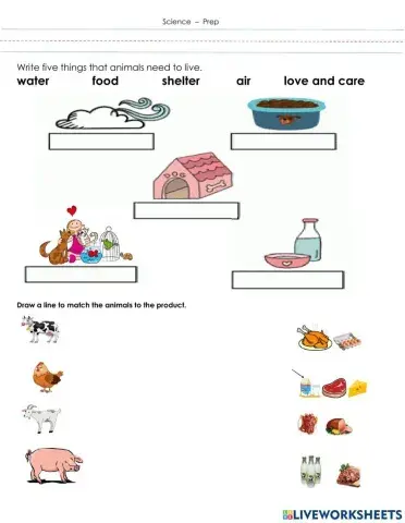 Importance of Animals, Products we get from animals