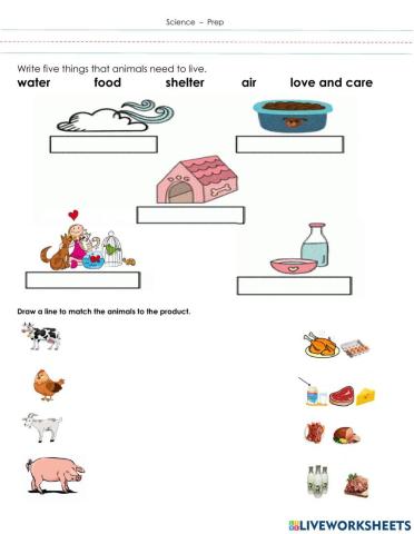 Importance of Animals, Products we get from animals