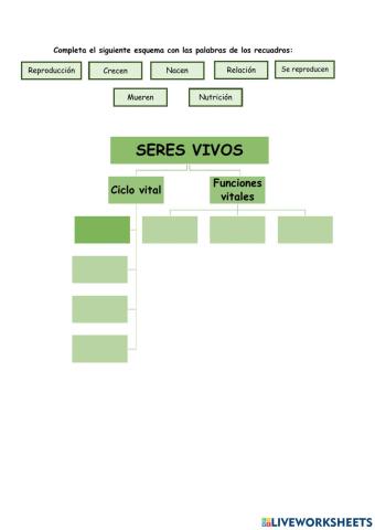 Seres vivos e inertes