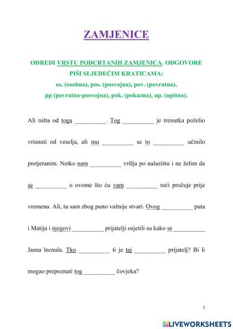 Zamjenice - 6.