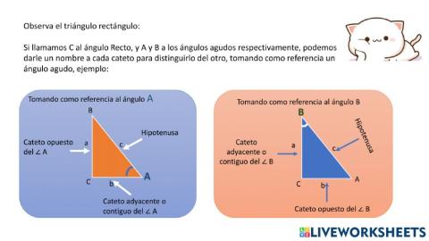 Triángulo Rectángulo 2
