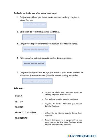 Organiz-ación del cuerpo humano