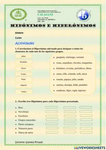Actividades Hipo e Hiperónimos