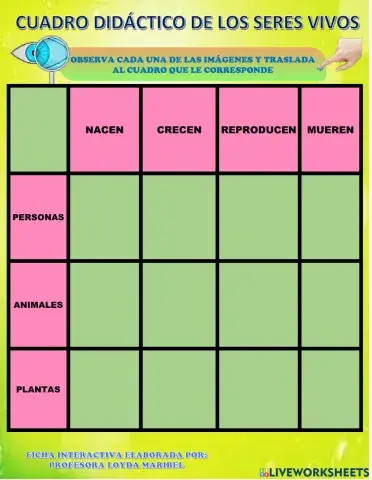 Cuadro didactico de los seres vivos