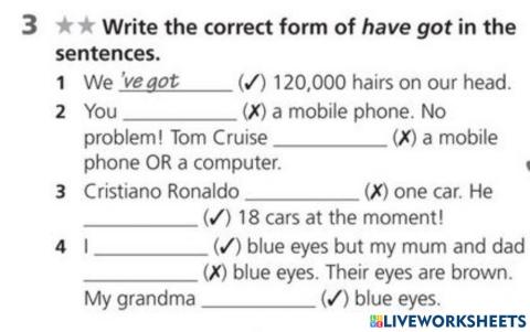 Have got (affirmative and negative)